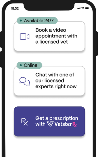 vetster-phone-dashboard-services
