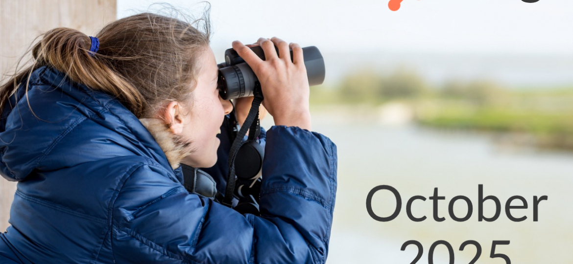 F - HubSpotting Oct 2025